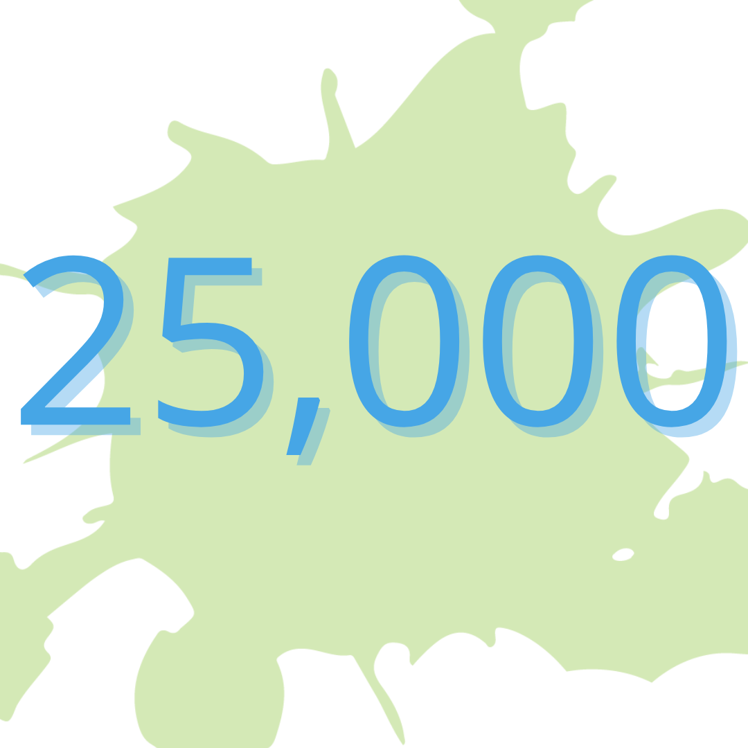 25000